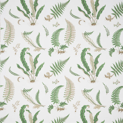 LEE JOFA-FERNS PRINT-1