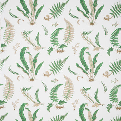 G P & J BAKER FABRICS - FERNS PRINT - SNOW