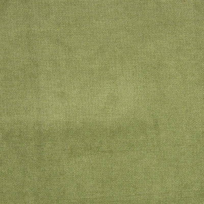 Greenhouse Fabrcs, a selection of fabrics such as  Velvet,Texture,Solid.