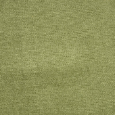 GREENHOUSE FABRICS -B1272 FERN