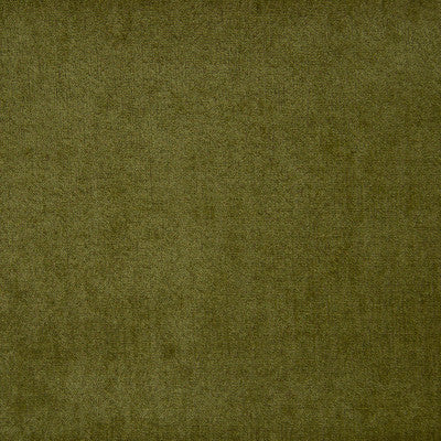 Greenhouse Fabrcs, a selection of fabrics such as  Texture,Solid.