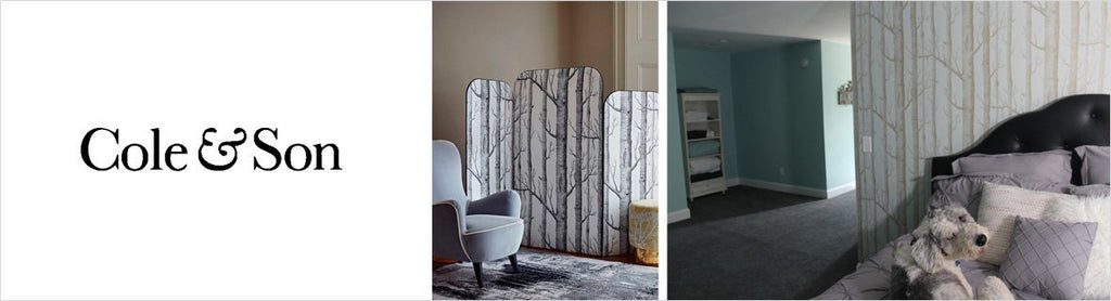 Cole & Sons Fabrics, a selection of fabrics such as velvet, damask, cotton, silk, linen and sheers. 