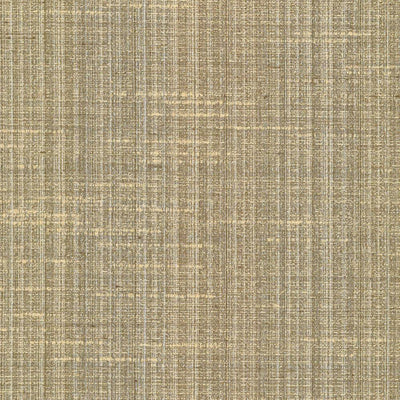 KASMIR FABRICS-BANSURI - CHINO