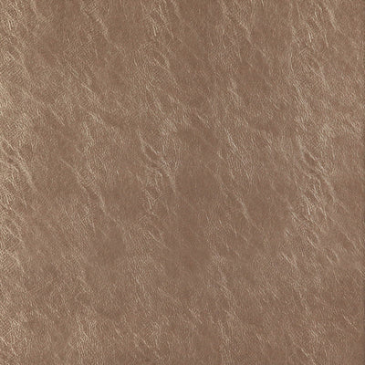 JF FABRICS-BEAUTY-16J7361