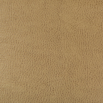 KRAVET DESIGN - BEHOLDER-16