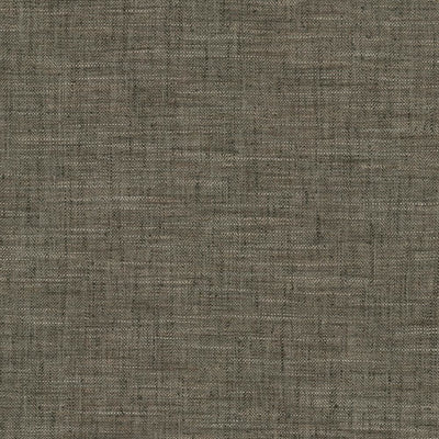 KASMIR FABRICS-BEST IN SHOW - COAL