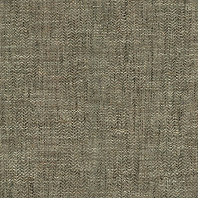KASMIR FABRICS-BEST IN SHOW - SHADOW