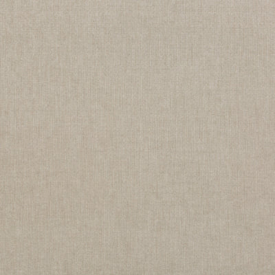 G P & J BAKER FABRICS - BLIZZARD - SILVER