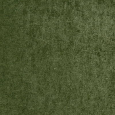 G P & J BAKER FABRICS - VINTAGE VELVET - FERN
