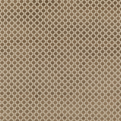 G P & J BAKER FABRICS - INDUS VELVET - MOLE