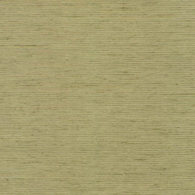 KASMIR FABRICS-BHARAT - KIWI