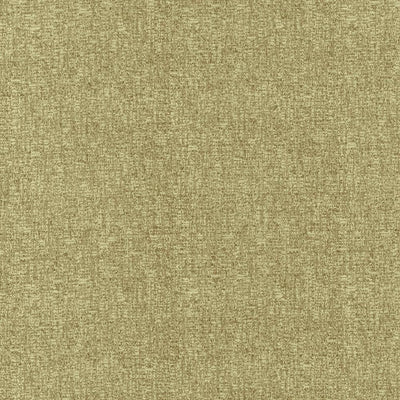 KASMIR FABRICS-BLAKE - JALAPENO