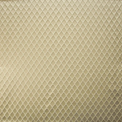 KASMIR FABRICS-BODICE - PAPYRUS