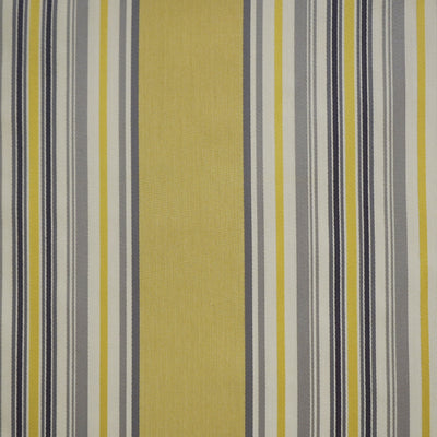 JF FABRICS-BORDER-13J6701