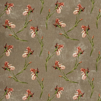 G P & J BAKER FABRICS - BAKER IRIS - MOLE