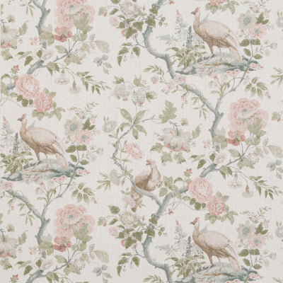 G P & J BAKER-BROUGHTON ROSE-2
