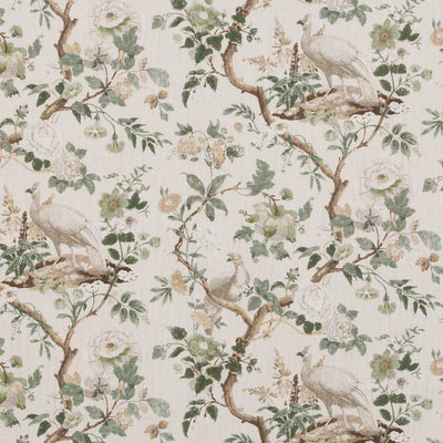 G P & J BAKER-BROUGHTON ROSE-3