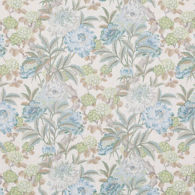 G P & J BAKER-SUMMER PEONY-4