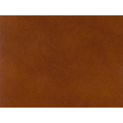 BRUNSCHWIG & FILS - OLD ENGLISH ANTIQUES LEATHER - BRANDY