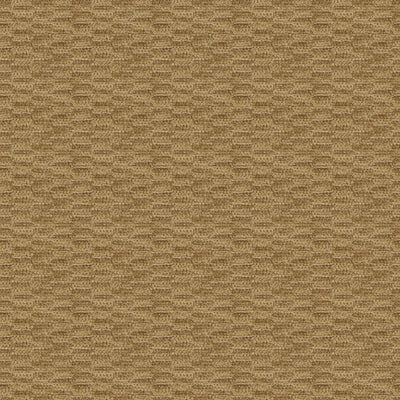 BRUNSCHWIG & FILS - BARCLAY TEXTURE - FAWN