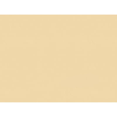BRUNSCHWIG & FILS - SATIN LA TOUR - CHAMPAGNE