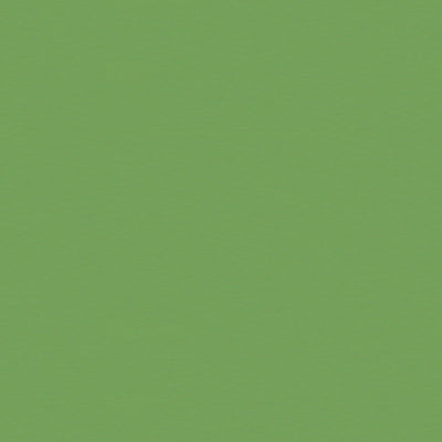 BRUNSCHWIG & FILS - SATIN LA TOUR - VERT