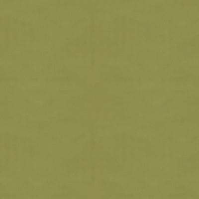 BRUNSCHWIG & FILS - NINON TAFFETAS - FERN