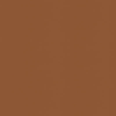 BRUNSCHWIG & FILS - NINON TAFFETAS - HAZELNUT