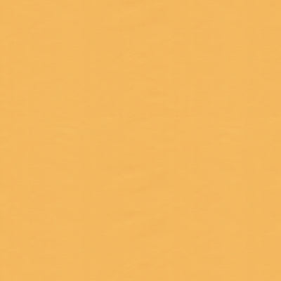 BRUNSCHWIG & FILS - NINON TAFFETAS - JAUNE