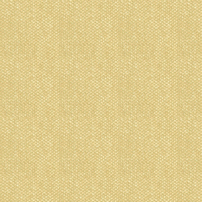 BRUNSCHWIG & FILS - YORKE CHENILLE - SAND