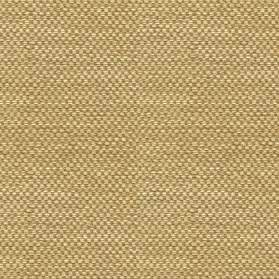 BRUNSCHWIG & FILS - YORKE CHENILLE - GOLD WITH BEIGE