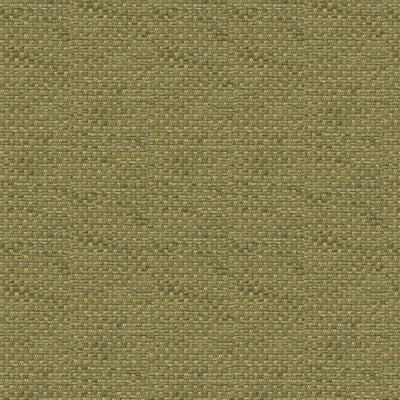 BRUNSCHWIG & FILS - YORKE CHENILLE - MOSS