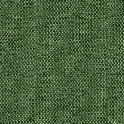 BRUNSCHWIG & FILS - YORKE CHENILLE - FOREST