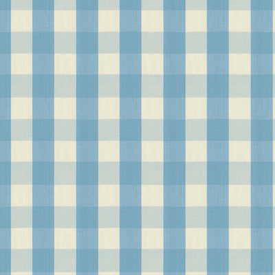 BRUNSCHWIG & FILS - CARSTEN CHECK - FRENCH BLUE