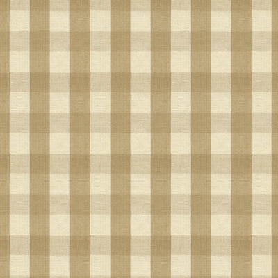 BRUNSCHWIG & FILS - CARSTEN CHECK - TAN
