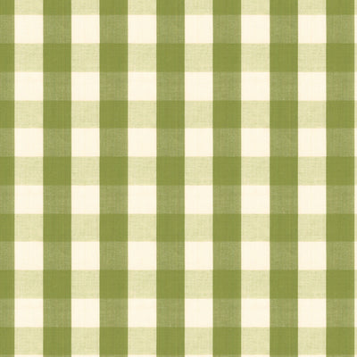 BRUNSCHWIG & FILS - CARSTEN CHECK - LEAF