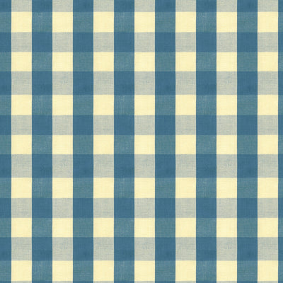 BRUNSCHWIG & FILS - CARSTEN CHECK - INDIGO