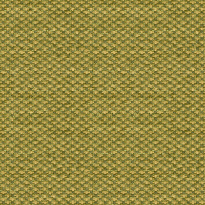 BRUNSCHWIG & FILS - SPENCER SILK CHENILLE - LEAF
