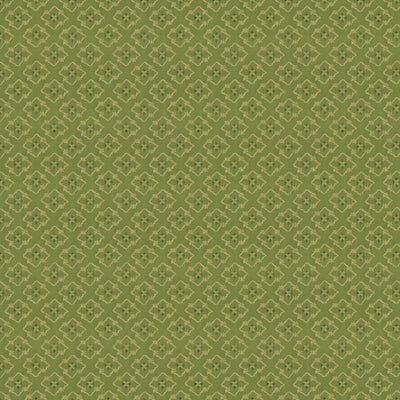 BRUNSCHWIG & FILS - CREEK FIGURED WOVEN - GREEN