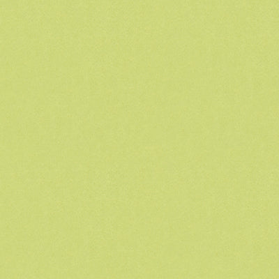 BRUNSCHWIG & FILS - AUTUN MOHAIR VELVET - CELERY