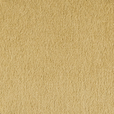 BRUNSCHWIG & FILS - AUTUN MOHAIR VELVET - LICHEN