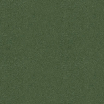 BRUNSCHWIG & FILS - AUTUN MOHAIR VELVET - BAYLEAF