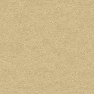BRUNSCHWIG & FILS - LUBECK COTTON VELVET - OYSTER