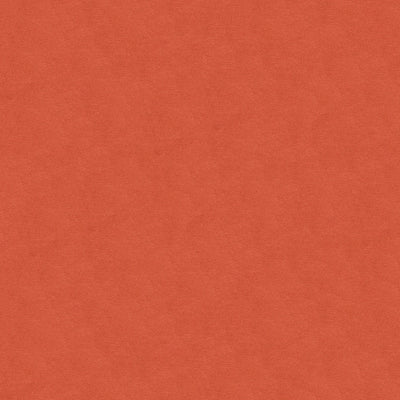 BRUNSCHWIG & FILS - LUBECK COTTON VELVET - SHELL