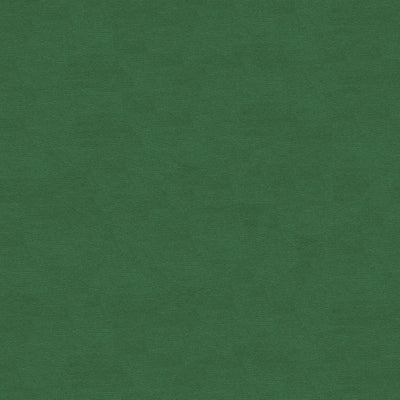 BRUNSCHWIG & FILS - LUBECK COTTON VELVET - IVY