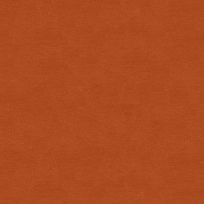 BRUNSCHWIG & FILS - LUBECK COTTON VELVET - ADOBE