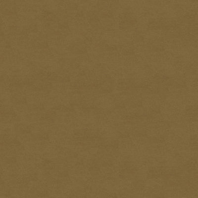BRUNSCHWIG & FILS - LUBECK COTTON VELVET - FAWN