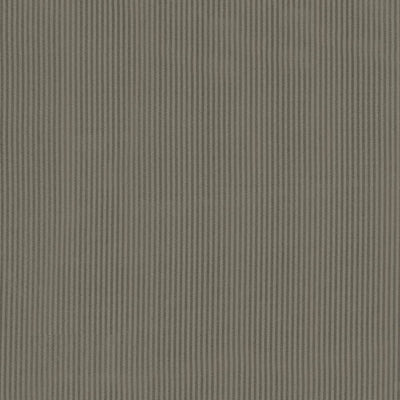 KASMIR FABRICS-BRIGHT LIGHTS - GREY