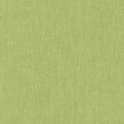 KASMIR FABRICS-BRUSSELS - HONEYDEW