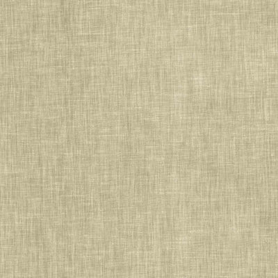 KASMIR FABRICS-BRUSSELS - SUEDE